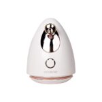 بخار الوجه 220W